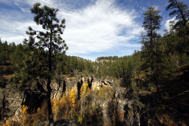 No. 42 Victoria Canyon